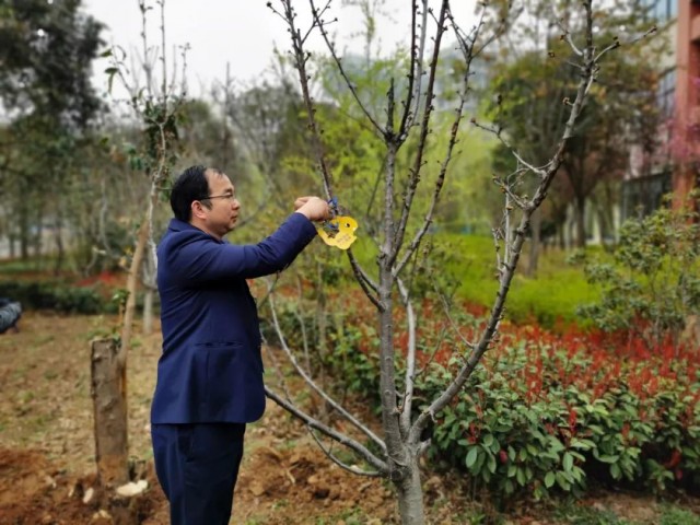 1616132577313834.jpg 13.jpg